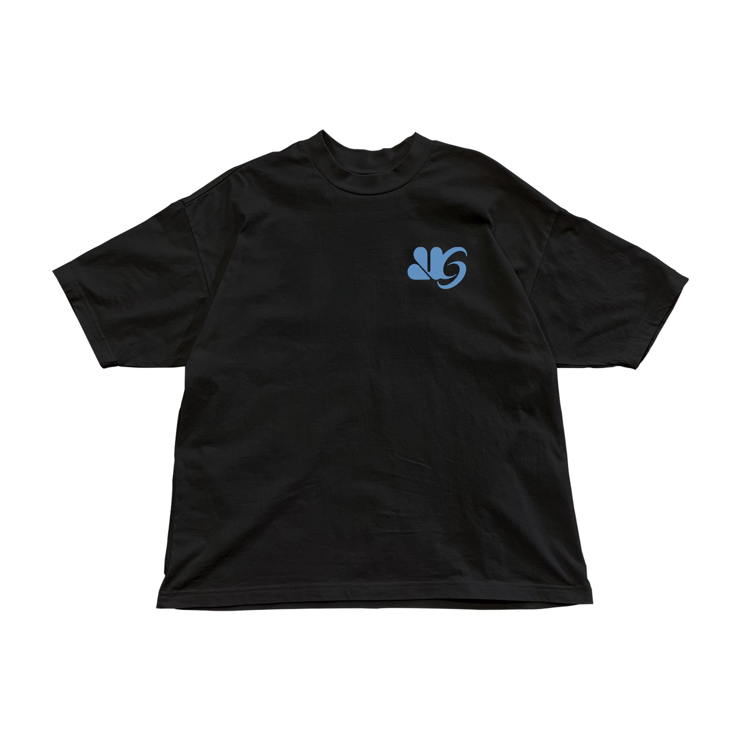 Org Logo (Sky) - Boxy Tee