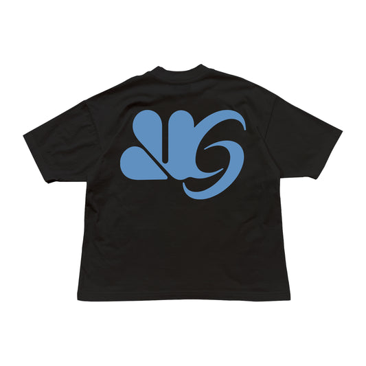 Org Logo (Sky) - Boxy Tee