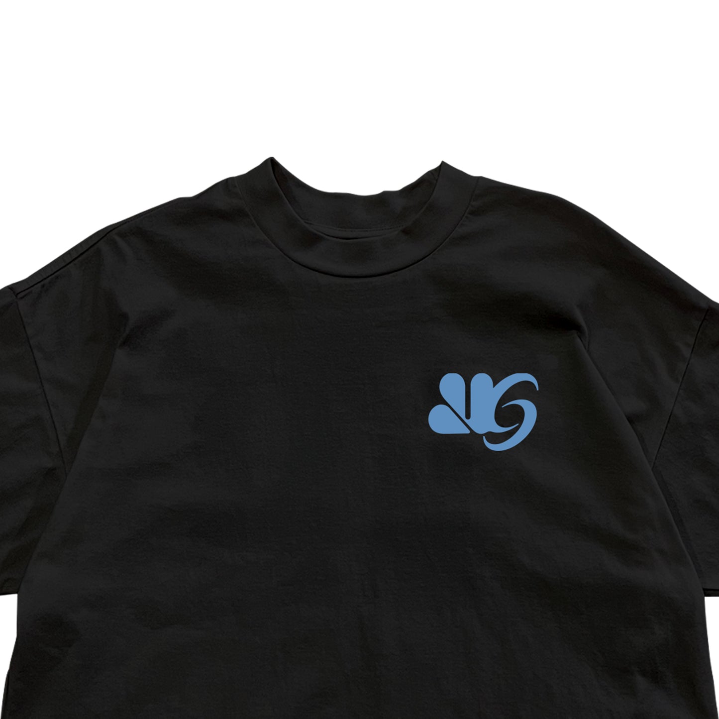 Org Logo (Sky) - Boxy Tee