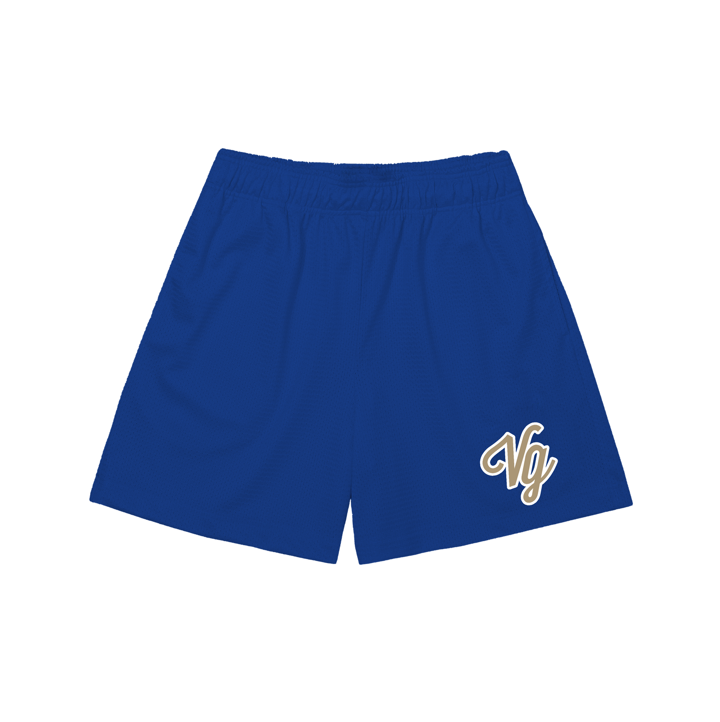 VG Team Mesh Shorts (Classic fit)