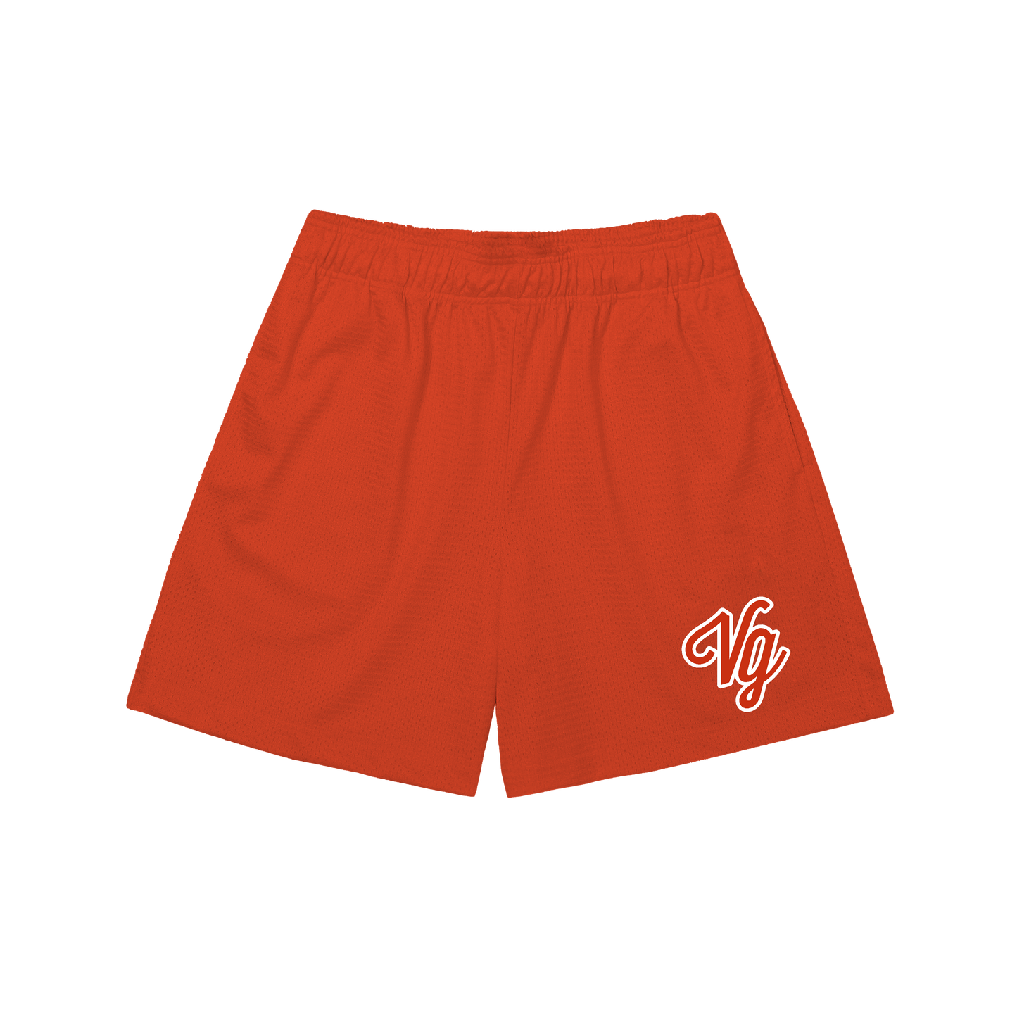 VG Team Mesh Shorts (Classic fit)