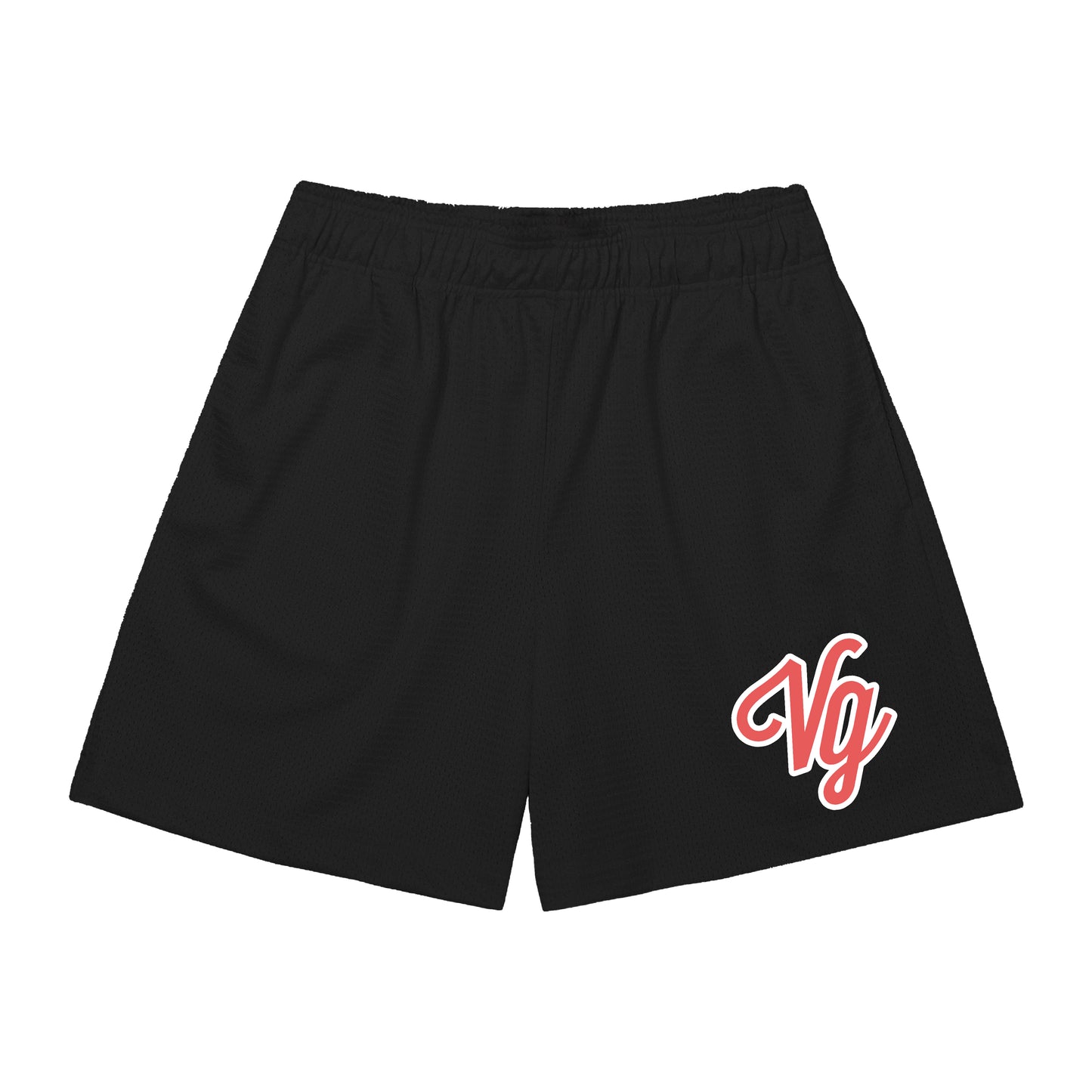 VG Team Mesh Shorts (Classic fit)