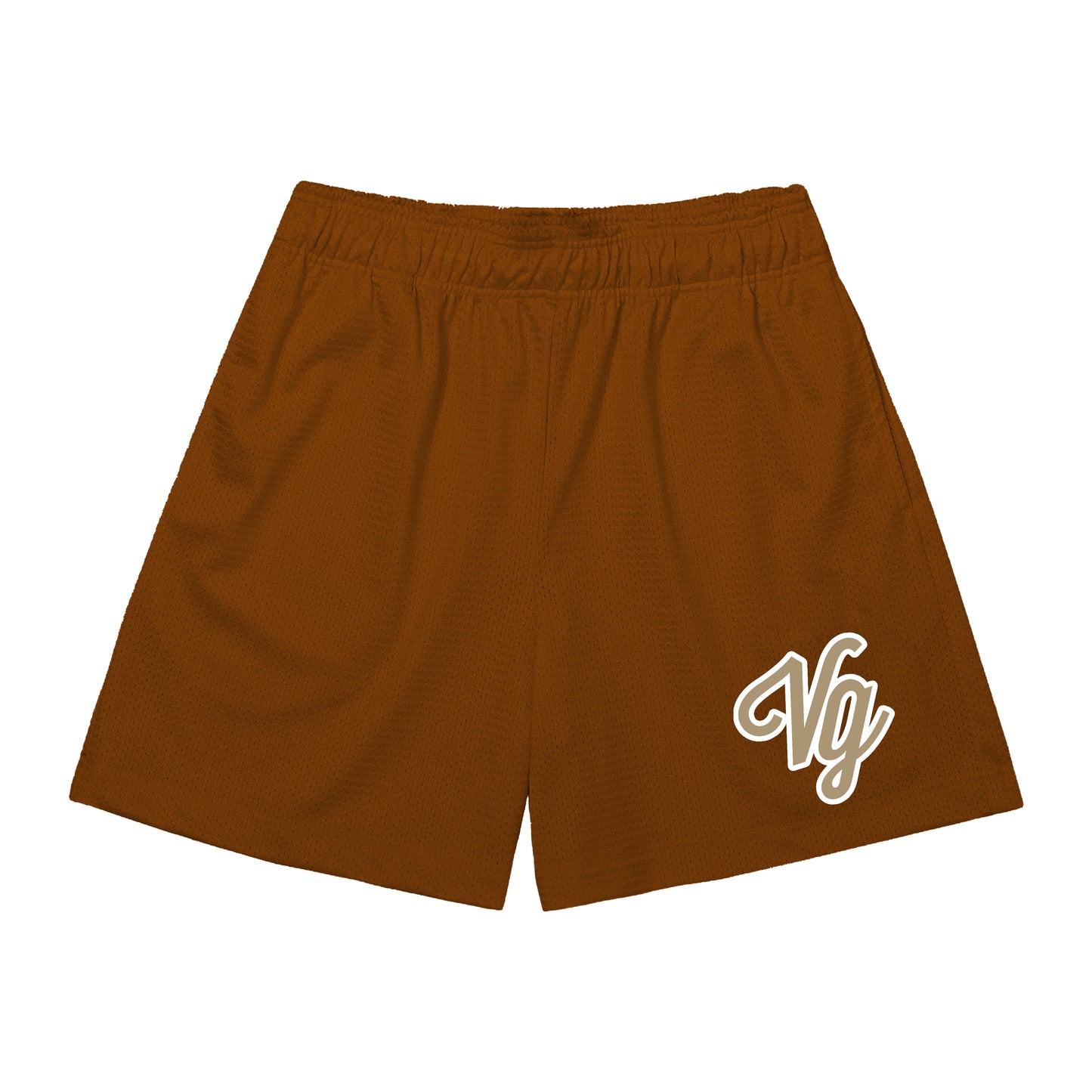 VG Team Mesh Shorts (Classic fit)