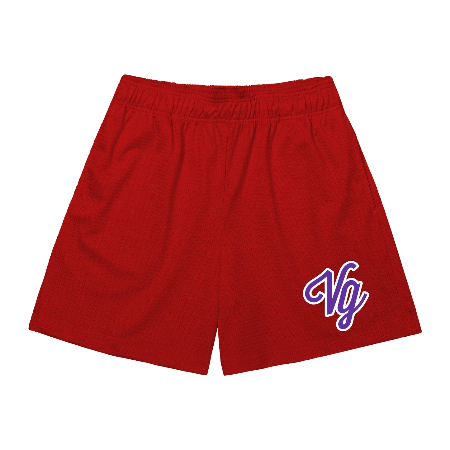 VG Team Mesh Shorts (Classic fit)
