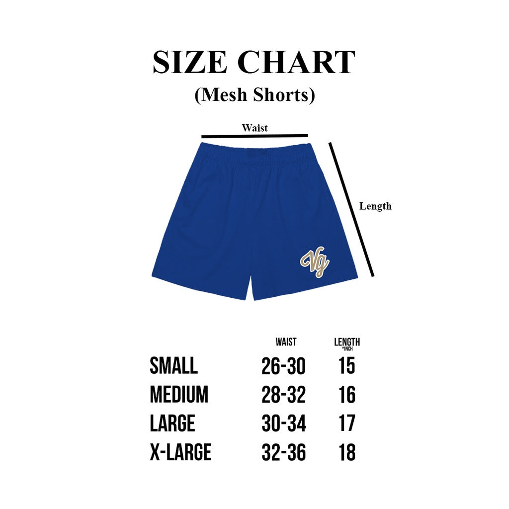 VG Team Mesh Shorts